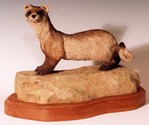 Black-Footed Ferret