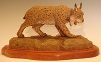 Iberian Lynx