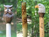 Walking Sticks